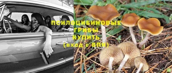 mix Аркадак