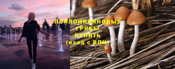 mix Аркадак