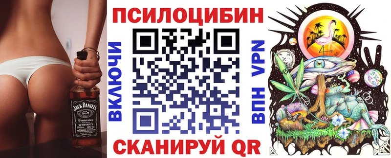 Галлюциногенные грибы Psilocybine cubensis  hydra зеркало  Северобайкальск 